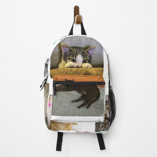 Item preview, Cats sticker set designed and sold by thatsit-itslit.