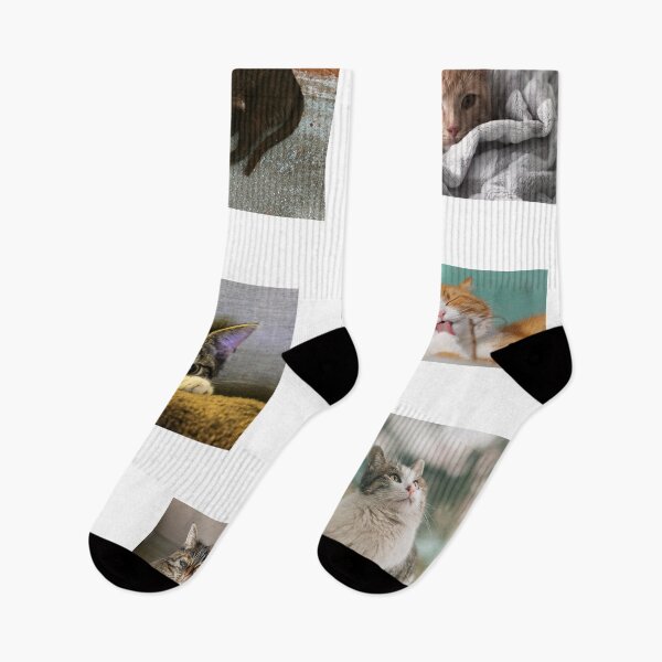 Item preview, Cats sticker set designed and sold by thatsit-itslit.