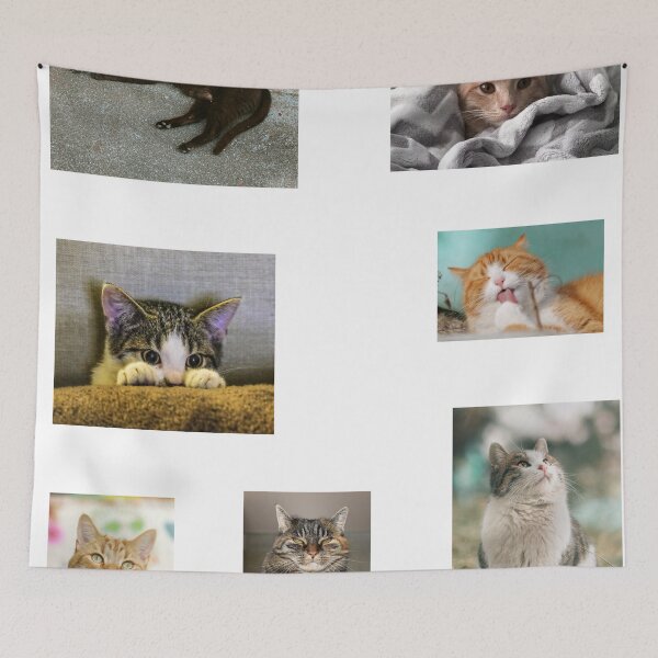 Item preview, Cats sticker set designed and sold by thatsit-itslit.