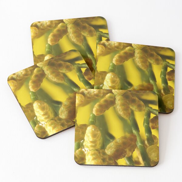 Item preview, Coniferous Colour designed and sold by NanaRusty.