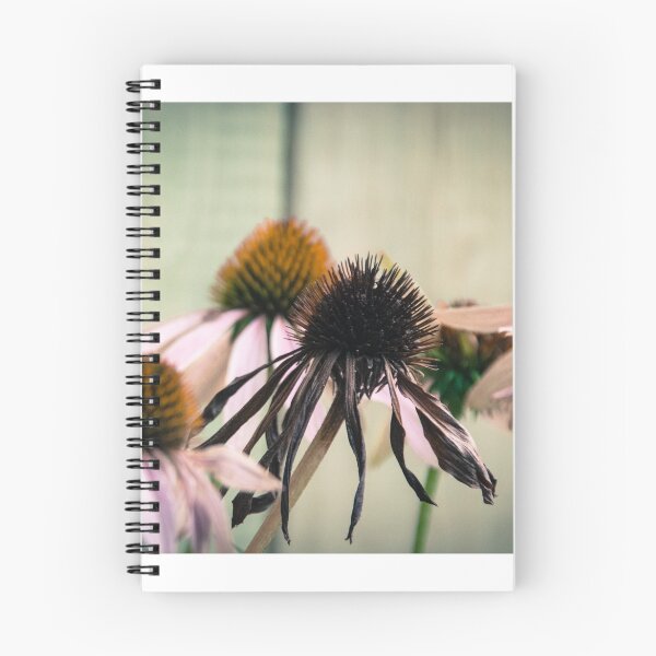Item preview, beauties designed and sold by Marie Boucher.