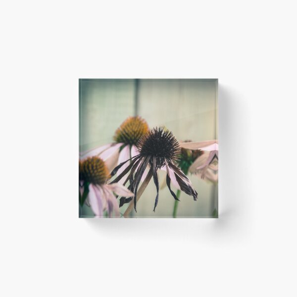 Item preview, beauties designed and sold by Marie Boucher.