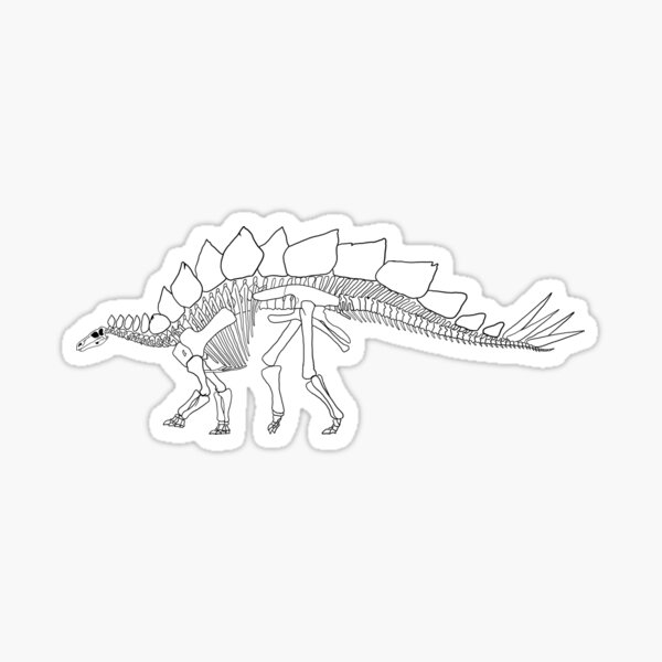 Artikel-Vorschau von Stegosaurus Fossiles Skelett, designt und verkauft von TomSaturnV.