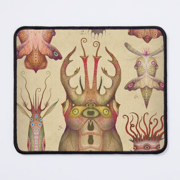 Item preview, Cephalopodoptera II designed and sold by Cabinet Of Curiosities by Vlad.