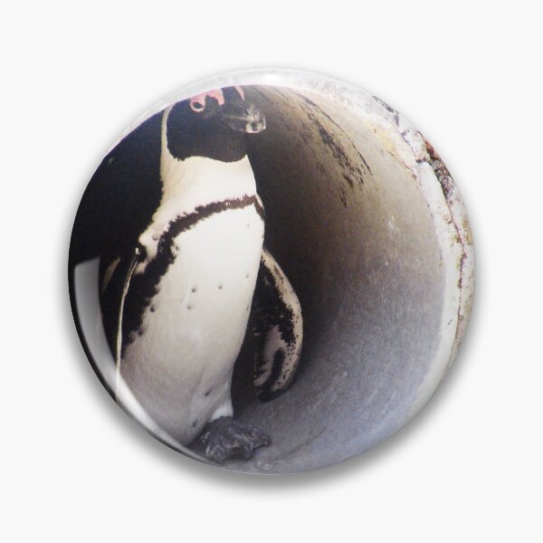 Item preview, African Penguin in Hiding designed and sold by LisWilliams.