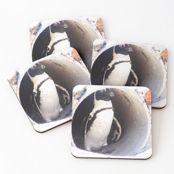 Item preview, African Penguin in Hiding designed and sold by LisWilliams.