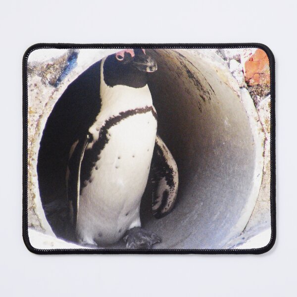 Item preview, African Penguin in Hiding designed and sold by LisWilliams.