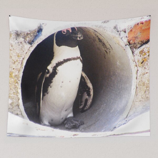 Item preview, African Penguin in Hiding designed and sold by LisWilliams.