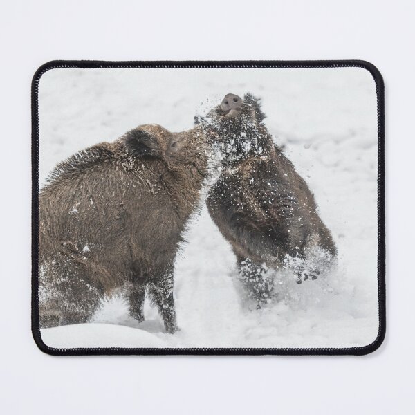 Item preview, Fighting wild boars in the snow designed and sold by Ingo Gerlach.