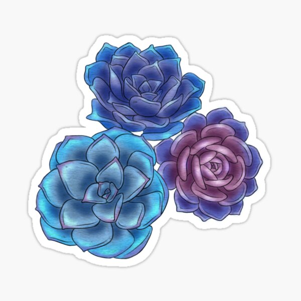 Succulents Sticker