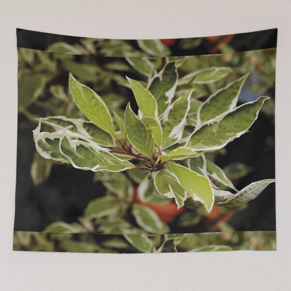 Item preview, Green designed and sold by Dingier.