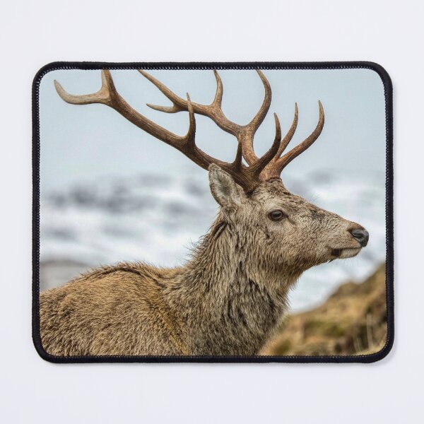 Item preview, Royal Red Deer Stag designed and sold by derekbeattie.
