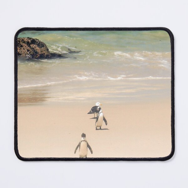 Item preview, African Penguins going for a Swim designed and sold by LisWilliams.