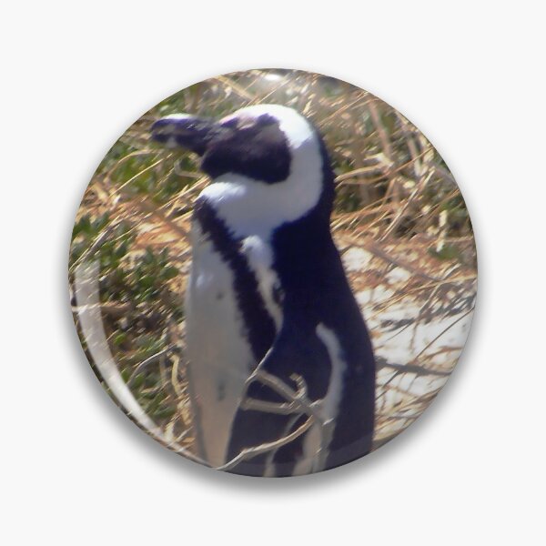 Item preview, African penguin on way through shrubbery  designed and sold by LisWilliams.