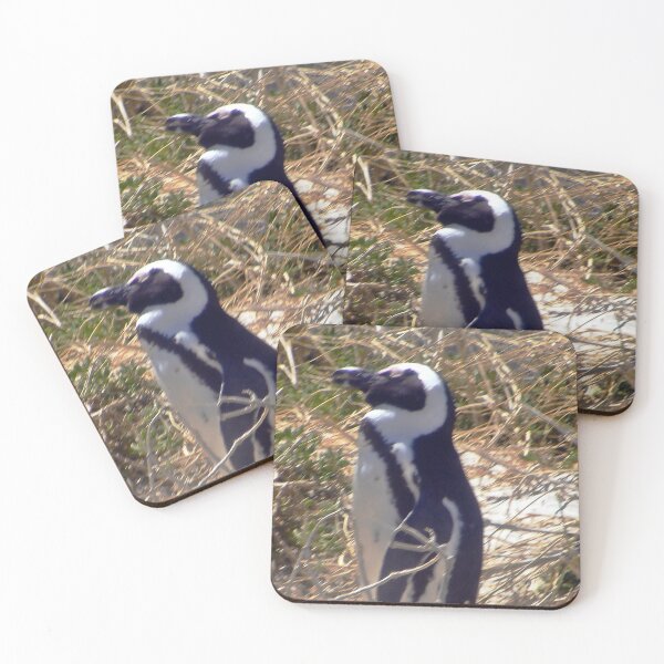 Item preview, African penguin on way through shrubbery  designed and sold by LisWilliams.
