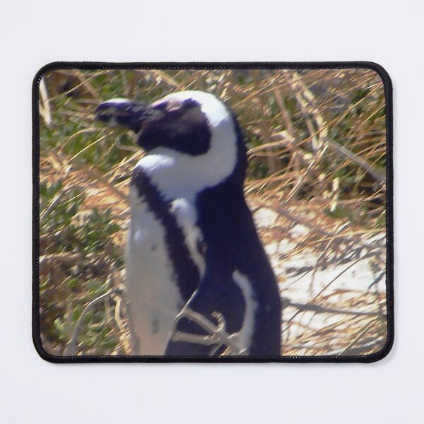 Item preview, African penguin on way through shrubbery designed and sold by LisWilliams.