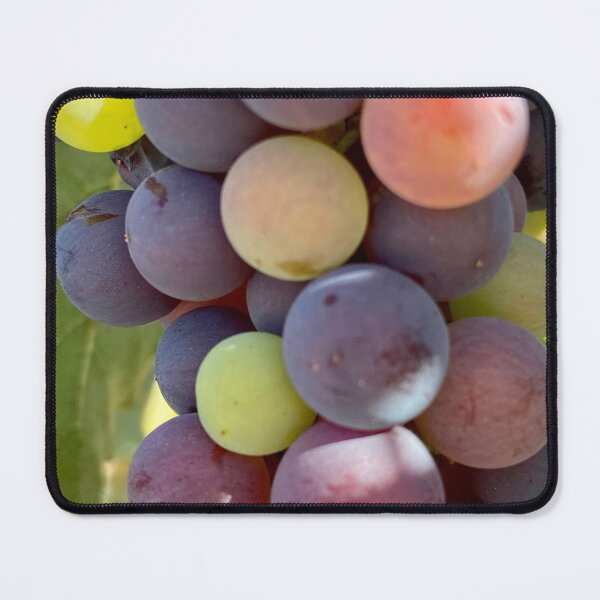 Item preview, Multicolored bunch of grapes designed and sold by Ponted.