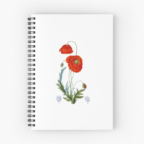 Item preview, Poppy designed and sold by AestheticaKit.