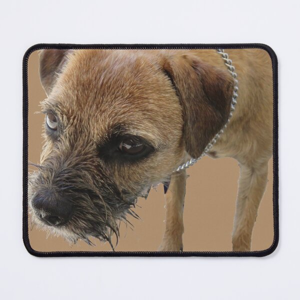 Item preview, Young female border terrier designed and sold by AHELENE.