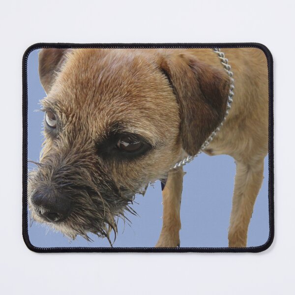 Item preview, Border Terrier serenity designed and sold by AHELENE.