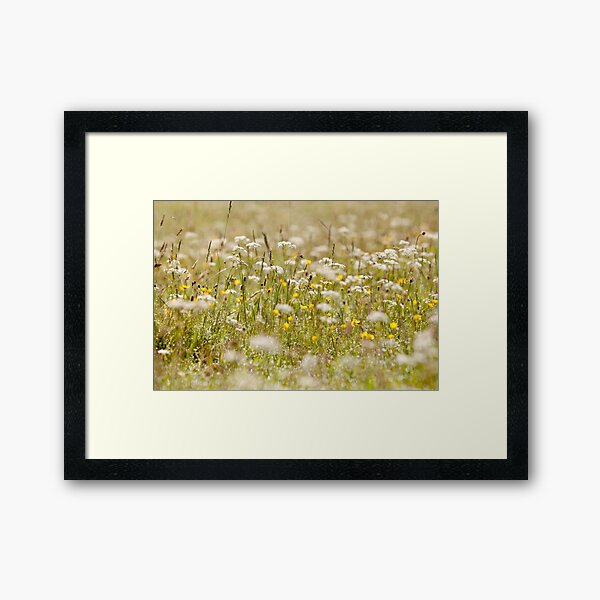 Wild Field Framed Art Print