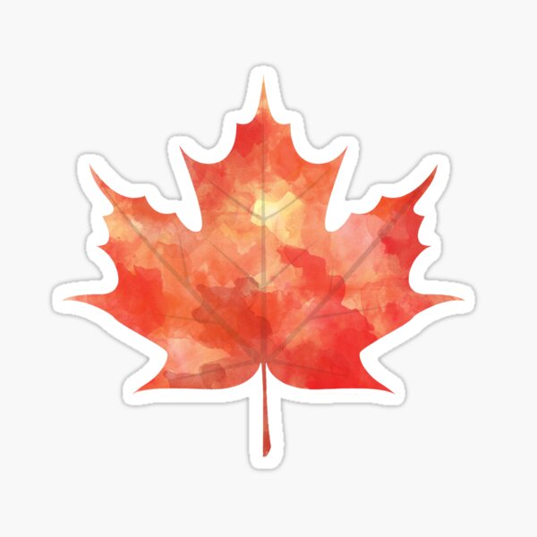 Watercolor Maple Leaf Sticker