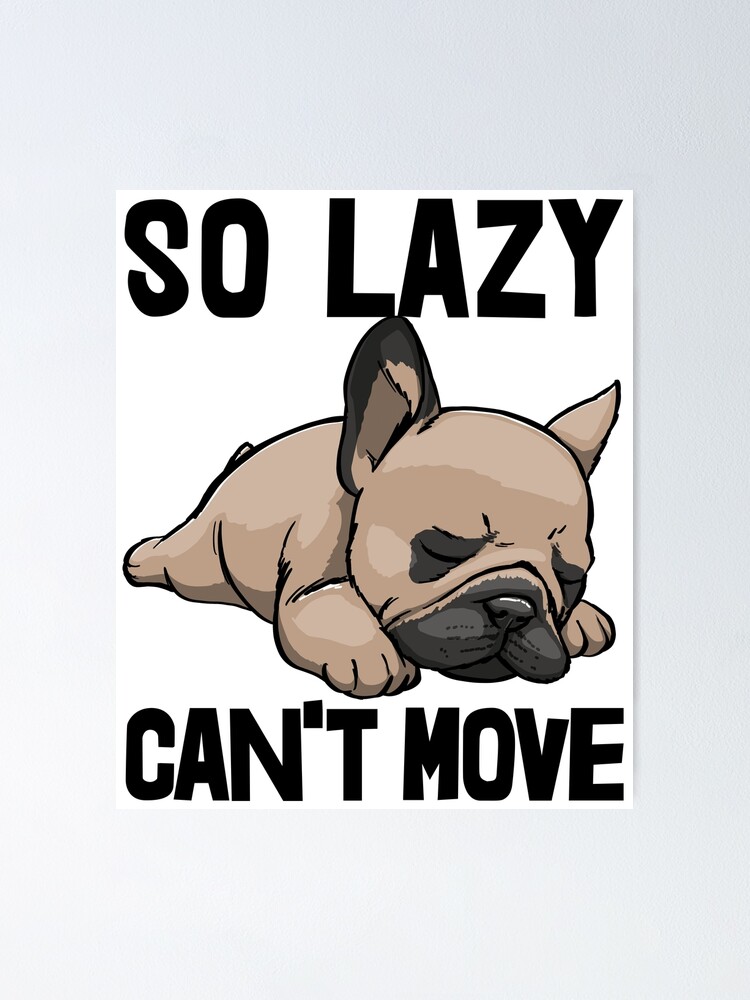 So Lazy Can't Move Dog