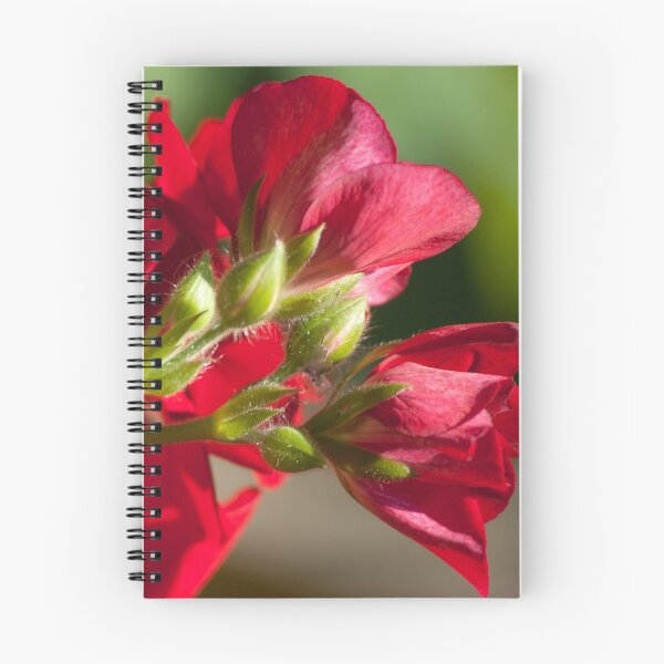 Item preview, Geranium designed and sold by Rebecca Bryson.