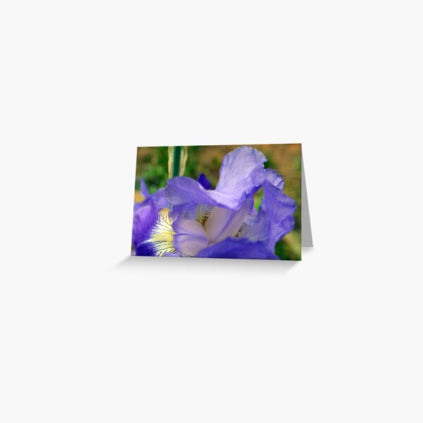 Inside the Iris Greeting Card
