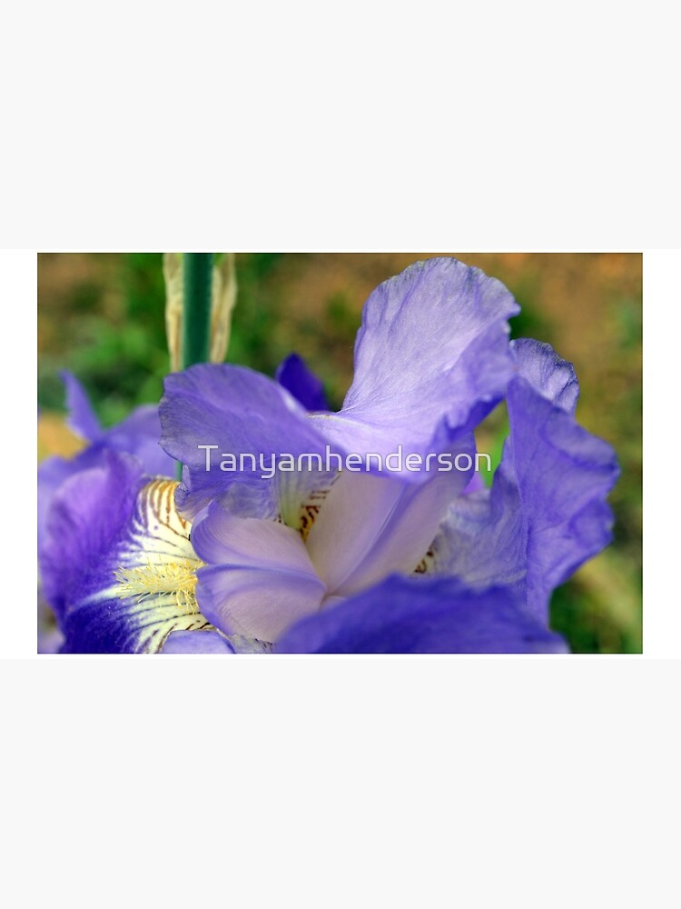 Inside the Iris by Tanyamhenderson