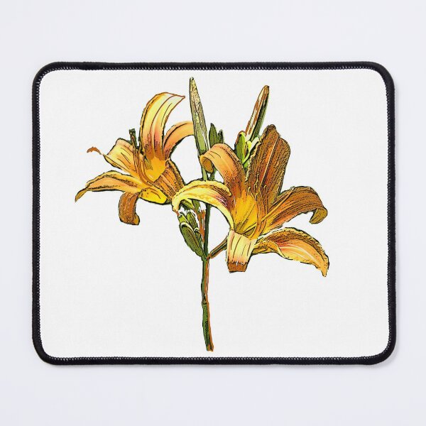 Item preview, Daylily designed and sold by Betty Mackey.