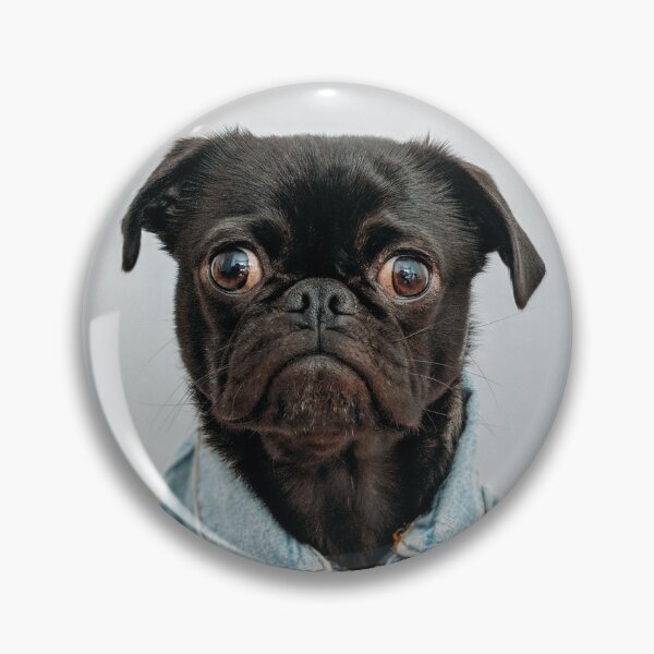 Item preview, Pug wearing a denim jacket - cute dog designed and sold by KopClobber.