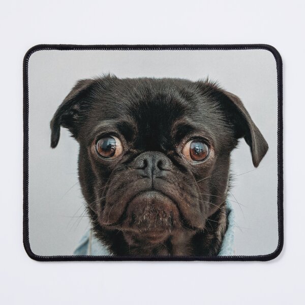 Item preview, Pug wearing a denim jacket - cute dog designed and sold by KopClobber.