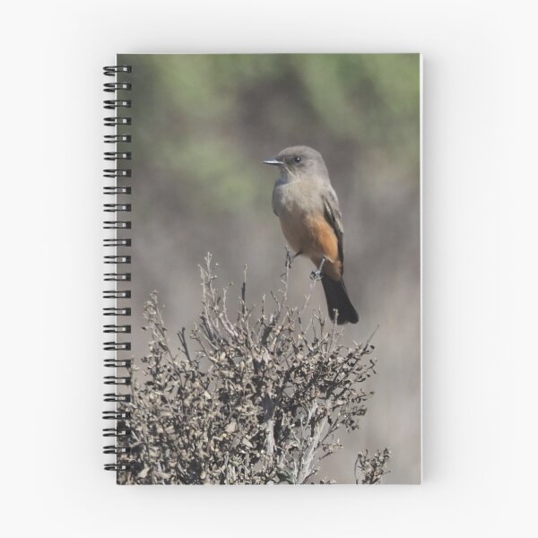 Item preview, Say's Phoebe   designed and sold by happynaturalist.
