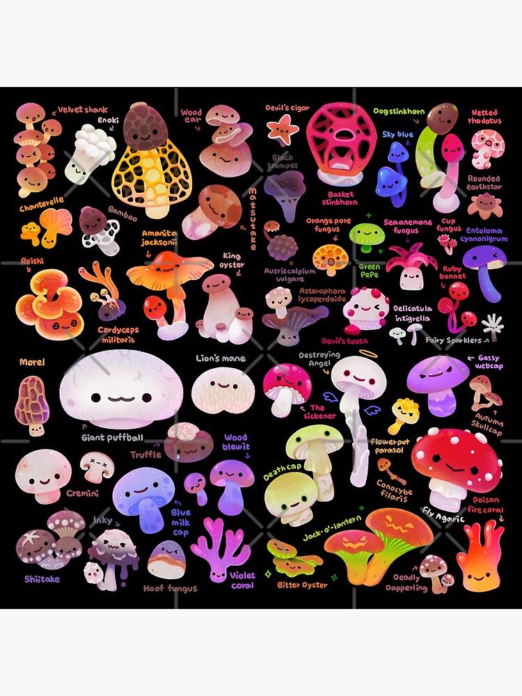 Mushroom - name by pikaole