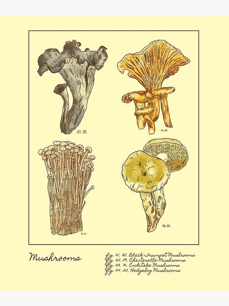 "Cottagecore Mushroom Aesthetic" Poster for Sale by ThePipersPoint