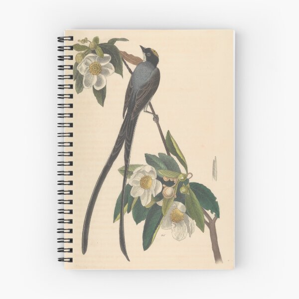 Item preview, Vintage swallow illustration designed and sold by IliaLobell.