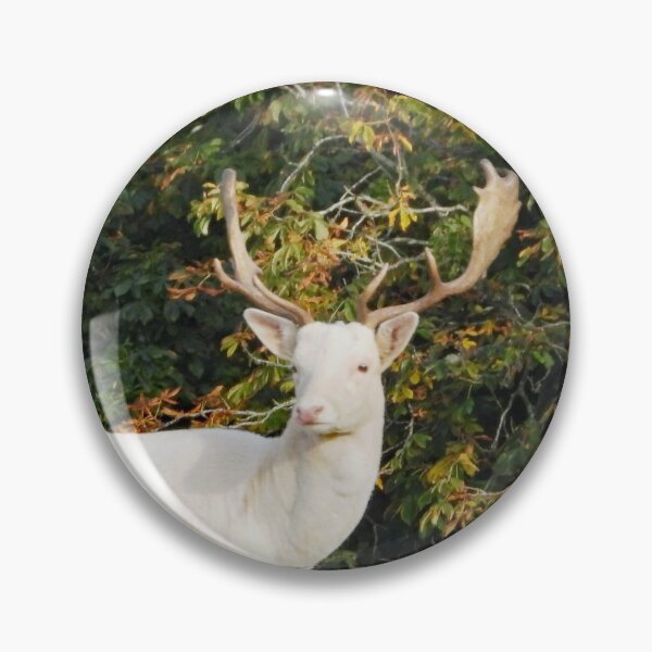 Item preview, A Handsome White Hart Stag designed and sold by Karen Thomson.