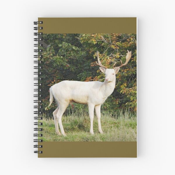 Item preview, A Handsome White Hart Stag designed and sold by Karen Thomson.
