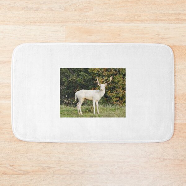 Item preview, A Handsome White Hart Stag designed and sold by Karen Thomson.