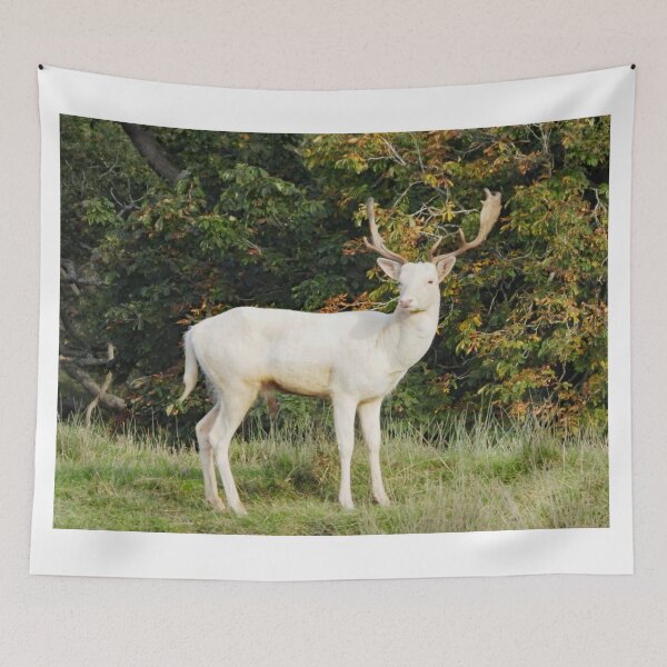 Item preview, A Handsome White Hart Stag designed and sold by Karen Thomson.