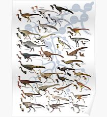 Ornithomimosaurs and Alvarezsaurs I Poster