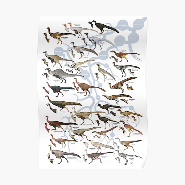 Ornithomimosaurs and Alvarezsaurs I Poster