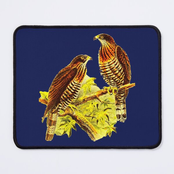 Item preview, Vintage Peregrine Falcon  designed and sold by Goblinkind Publications.