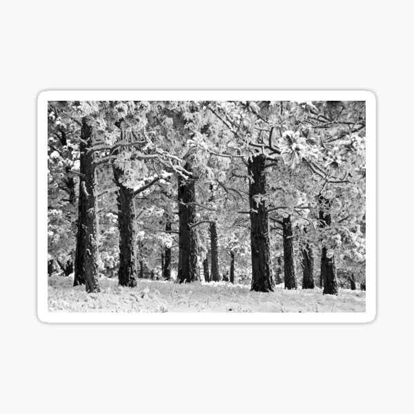 Blue Bell Ridge Sticker