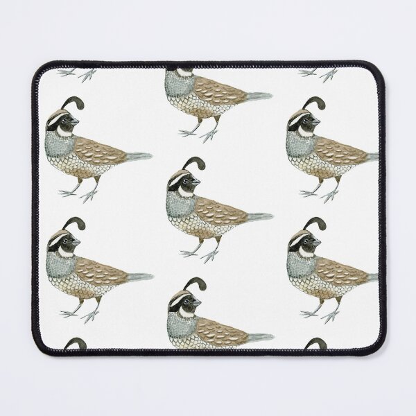Item preview, Watercolor California Quail- Male designed and sold by paintedpansy.