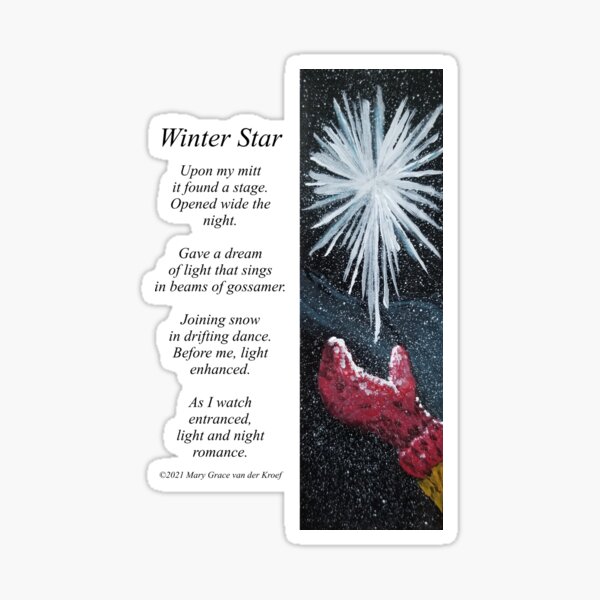 Winter Star Sticker