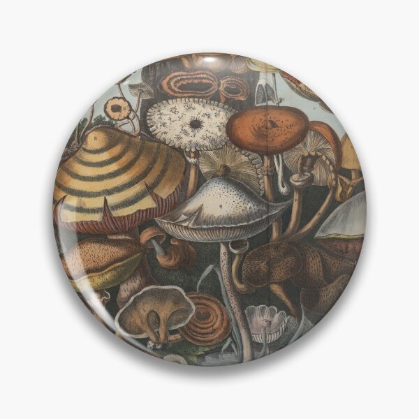 Item preview, Mushrooms (Champignons) designed and sold by Lloyd Library & Museum.
