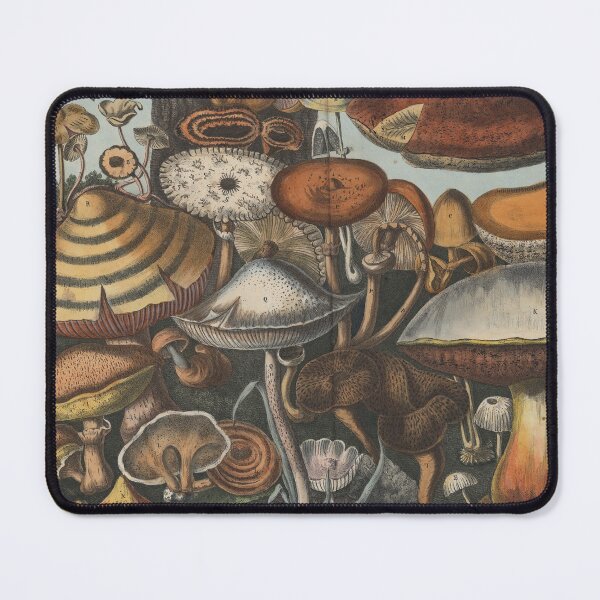 Item preview, Mushrooms (Champignons) designed and sold by Lloyd Library & Museum.