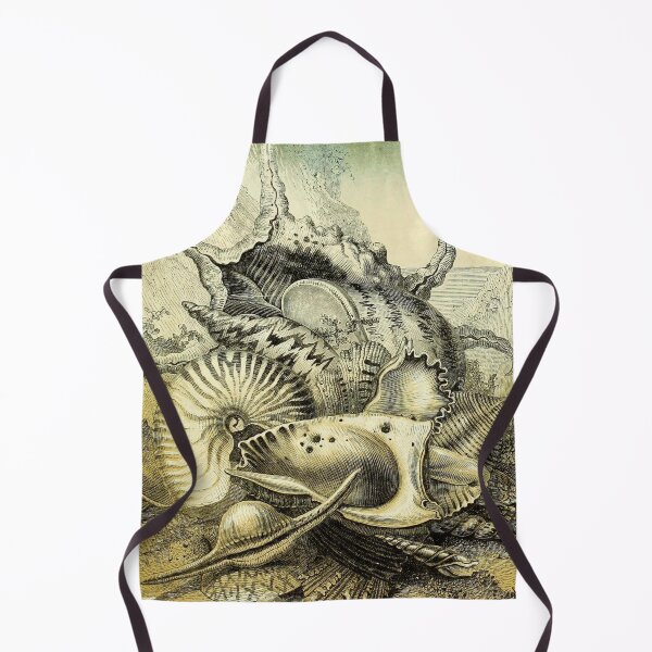 Item preview, Ocean shells designed and sold by Lloyd Library & Museum.